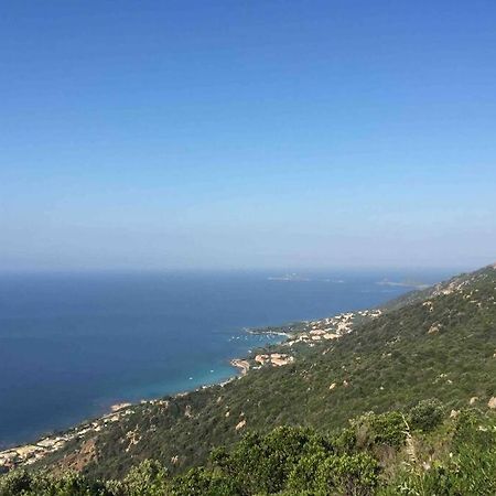 Ajaccio Magnifique T2 Neuf 40M2 Avec Balcon Au Trottel 4 Couchages Wifi Clim Parking Plage A Pieds 100M Luaran gambar