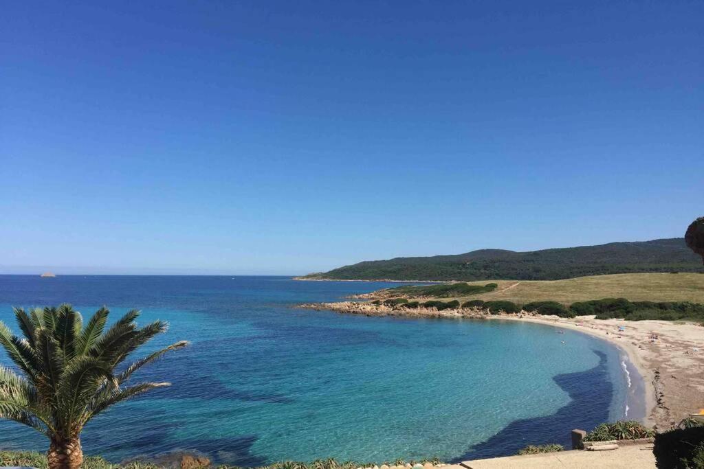 Ajaccio Magnifique T2 Neuf 40M2 Avec Balcon Au Trottel 4 Couchages Wifi Clim Parking Plage A Pieds 100M Luaran gambar