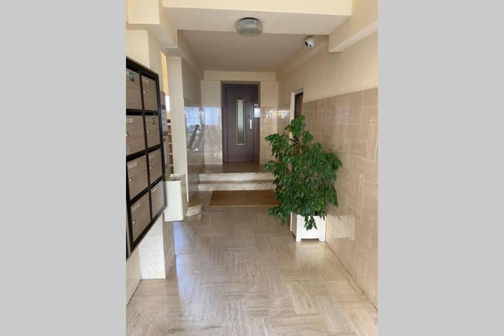 Ajaccio Magnifique T2 Neuf 40M2 Avec Balcon Au Trottel 4 Couchages Wifi Clim Parking Plage A Pieds 100M Luaran gambar