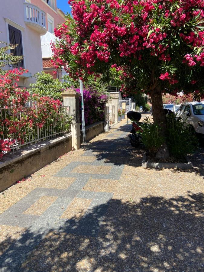 Ajaccio Magnifique T2 Neuf 40M2 Avec Balcon Au Trottel 4 Couchages Wifi Clim Parking Plage A Pieds 100M Luaran gambar